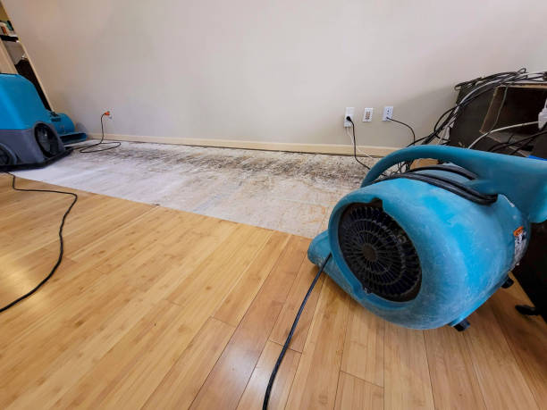 Professional Water Damage Repair technician working in Penrose, CO